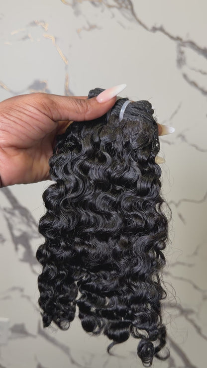 Raw Vietnamese SDD Burmese Curly Bundle