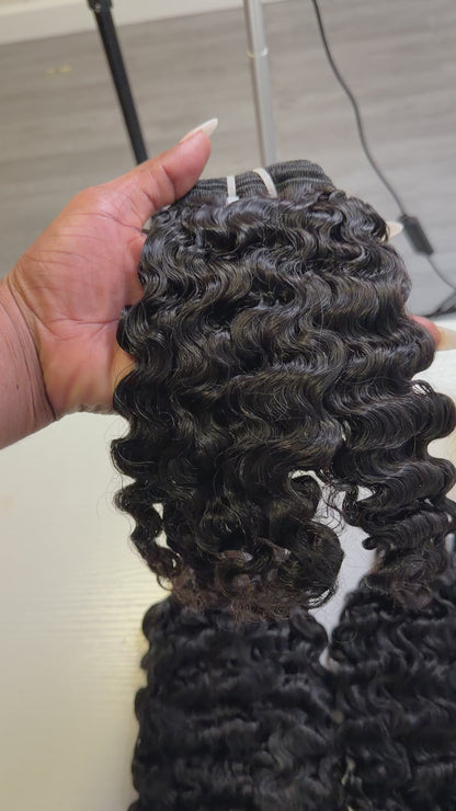 Raw Vietnamese SDD Burmese Curly Bundle